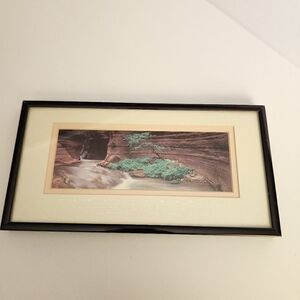 Successories Perseverance Lifescspes Lithograph Of Grand Canyon National Park